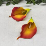 IMG_1316