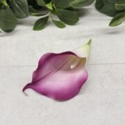 IMG_1320