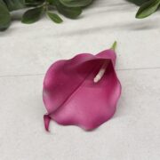IMG_1325