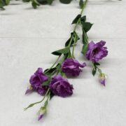 IMG_1512
