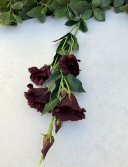 Eustoma Długa SUN345