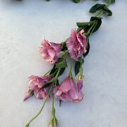 IMG_1609